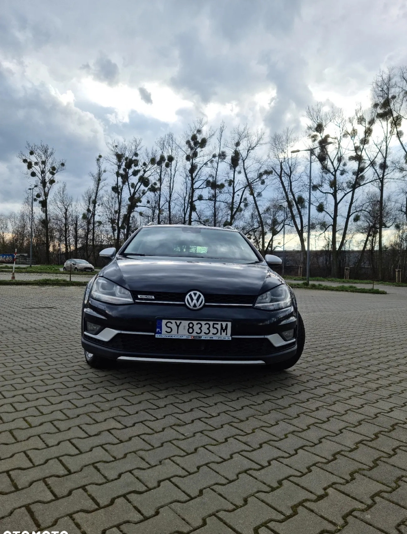 Volkswagen Golf cena 61500 przebieg: 252000, rok produkcji 2015 z Bytom małe 137